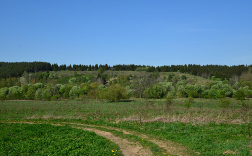 11_Ročiškės piliakalnis.jpg